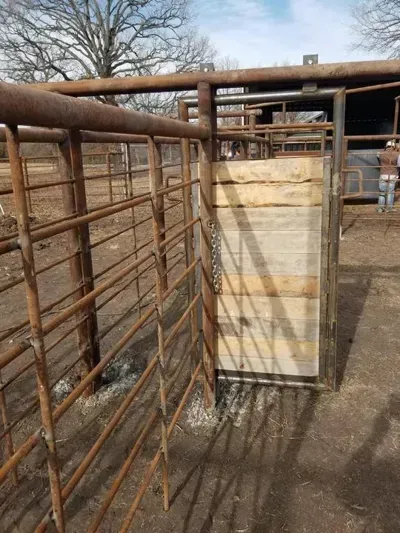 Rusty metal livestock pen with a light wooden gate outdoors on a dirt farm lot.
