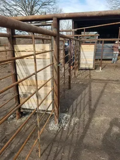 Rusty metal livestock pens and gates in a dirt yard beside a barn or shed.