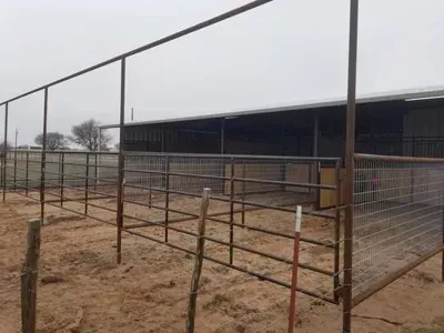 Metal livestock pens beside a large barn under an overcast sky