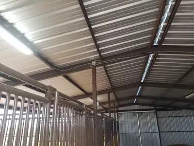 Inside a metal barn, corrugated steel roof and railings visible in an empty indoor livestock area