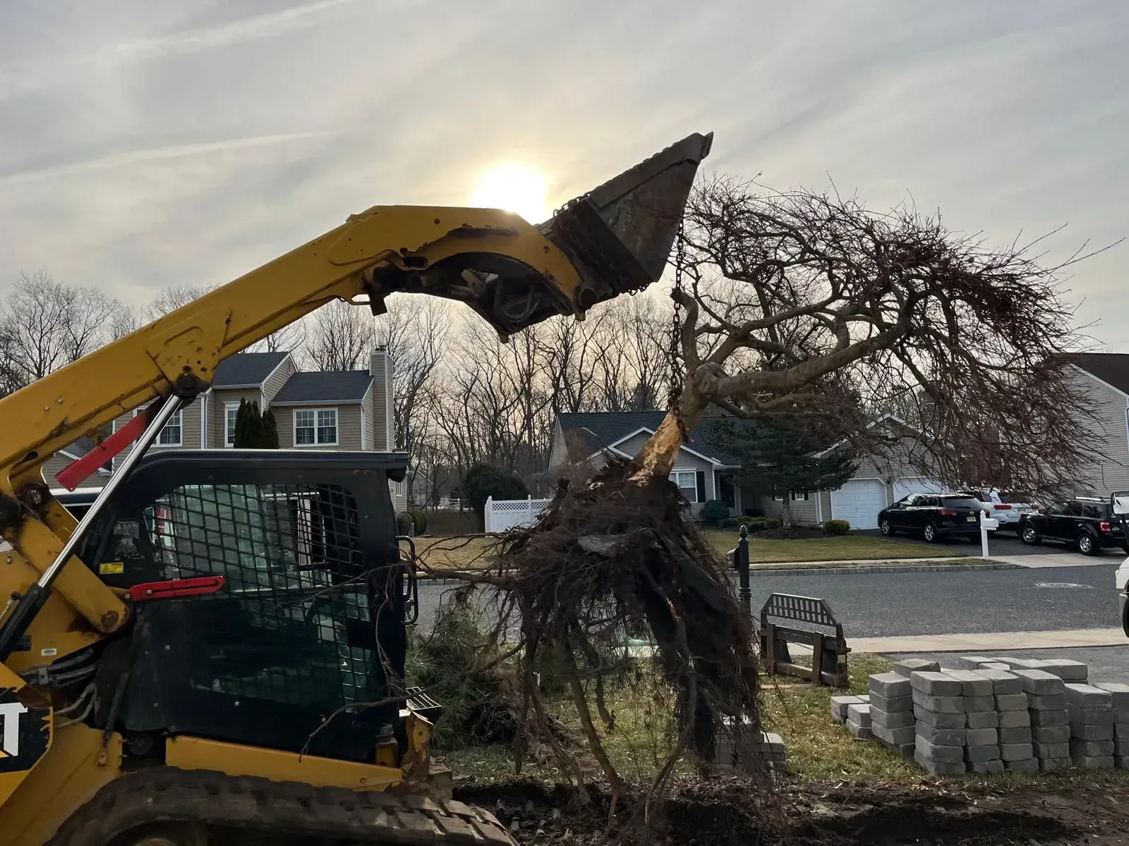 A yellow skid steer loader lifts a small, uprooted tree with exposed roots at a residential construction site.