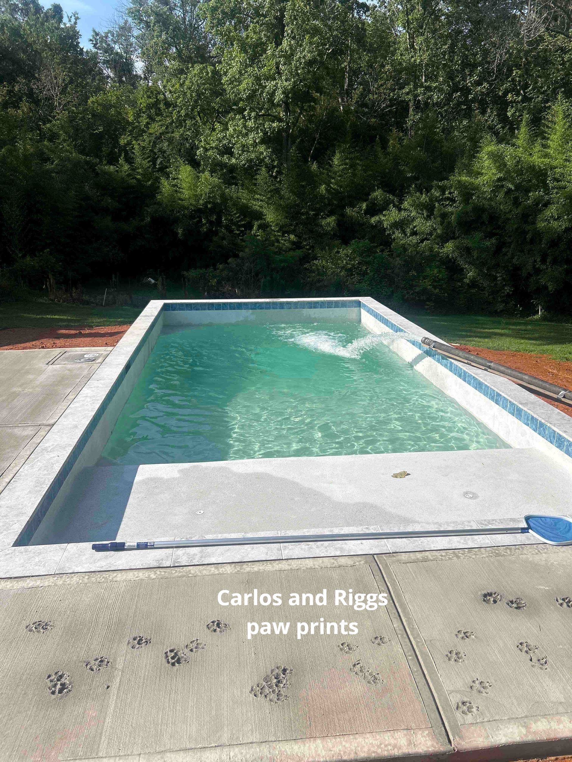 Gordon and Brandon were great to work with—friendly, professional, and so attentive to what was important to us (and our budget!). They even made sure our dogs, Carlos and Riggs, were part of the planning so the backyard would work for everyone in the family.
The crew was efficient, respectful, and so quiet (especially important for this night shift nurse!) Highly recommend, our space looks incredible, the process was stress-free, and Carlos and Riggs give it two paws up! ? ?