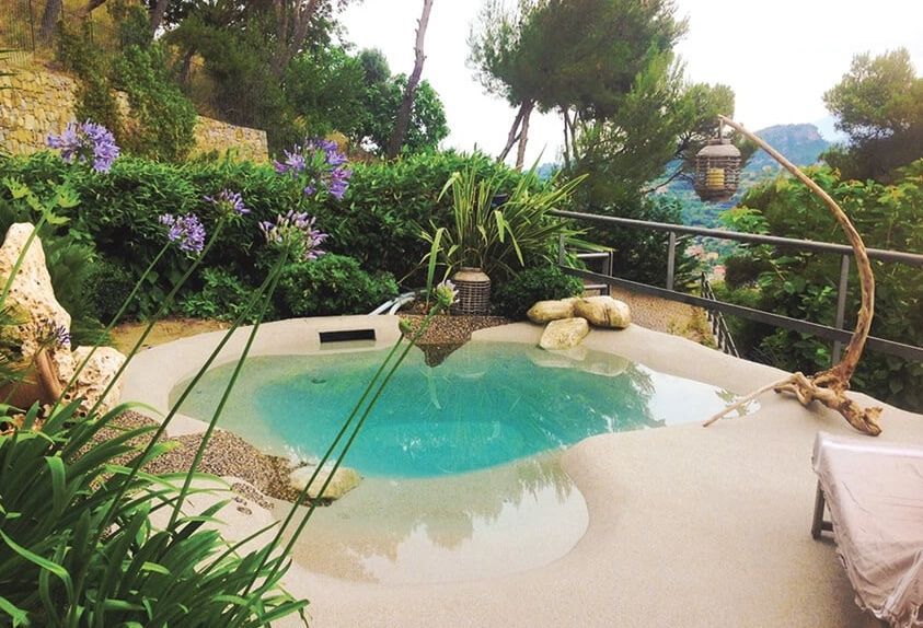 A small swimming pool is surrounded by plants and trees