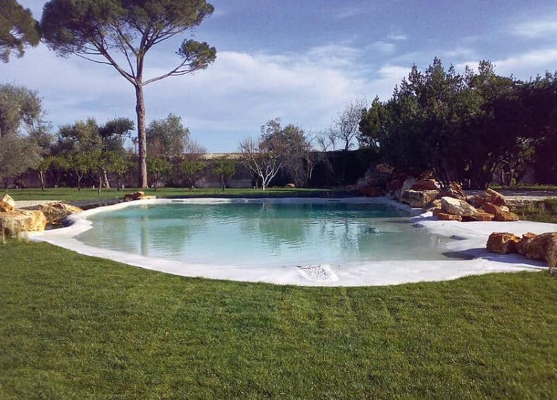 A large swimming pool surrounded by grass and trees