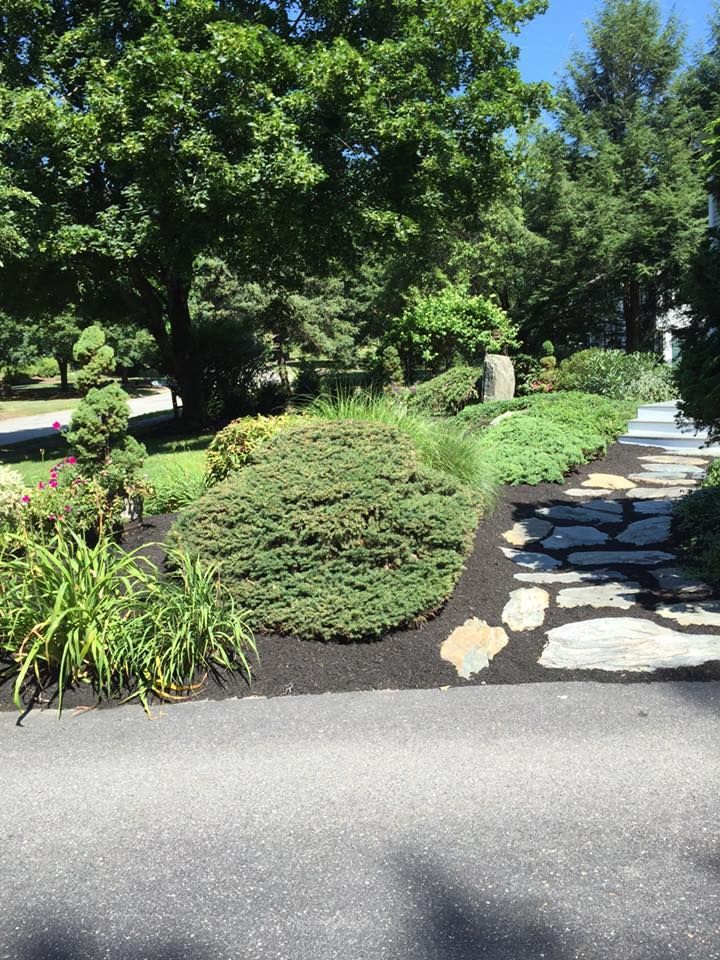 A stone walkway leading to a garden with trees and bushes