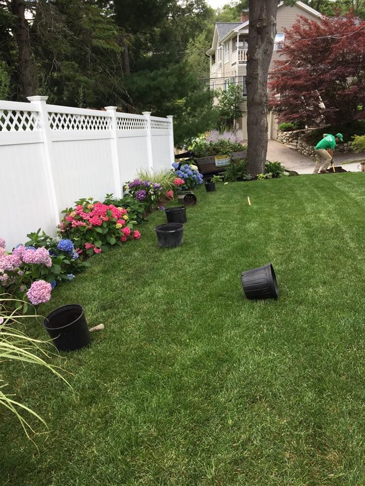 A man is planting flowers in a backyard.
