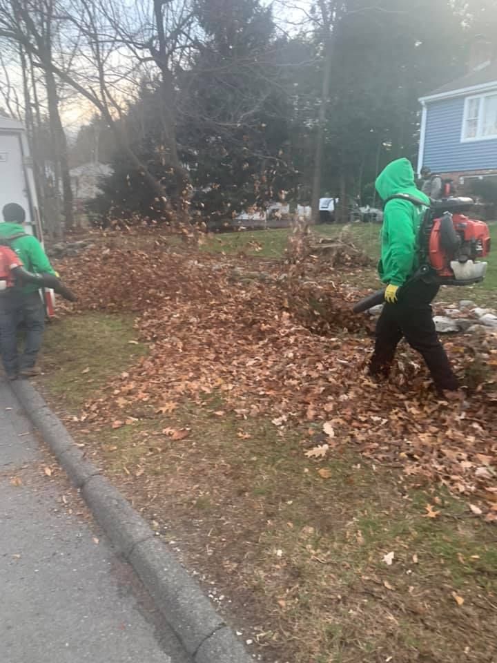 A couple of people are blowing leaves in a yard.