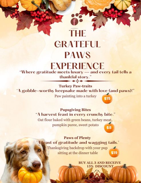 Dog in spa with cucumber eye masks, towel turban, in a tub with pumpkins. Spa special promotion.