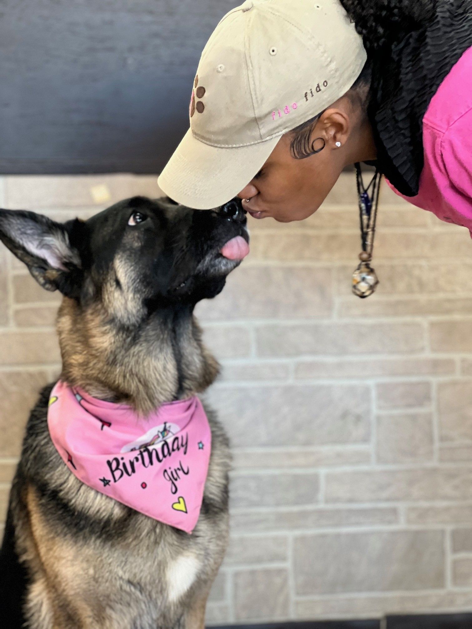 Person kisses a German Shepherd dog wearing a pink 