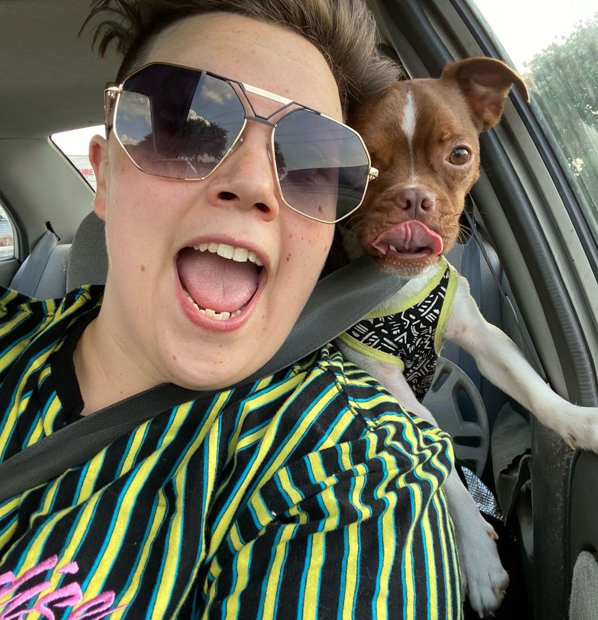 fido fido Dog Daycare & Boarding