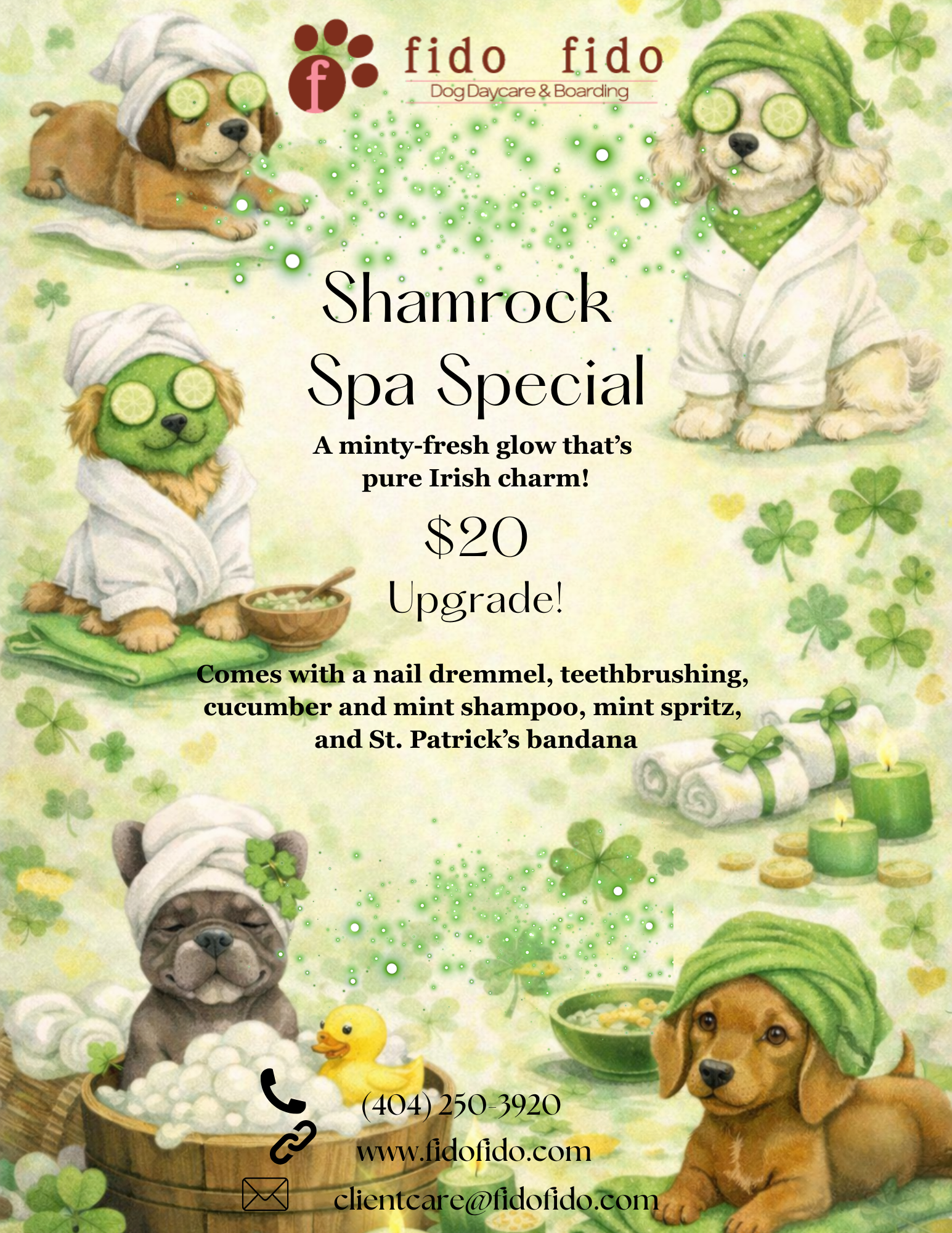 Advertisement for a dog spa. Dogs in towels and head wraps enjoy spa treatments; text reads Shamrock Spa Special and $20.