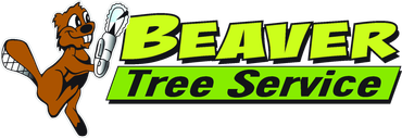 Beaver Tree Service Inc - logo