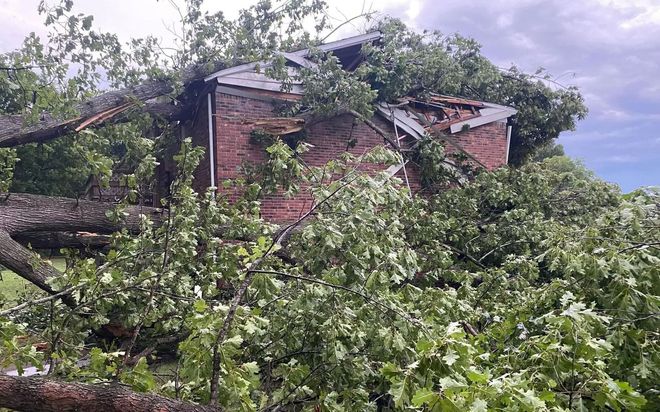 A brick house severely damaged by fallen trees and debris; daylight setting.