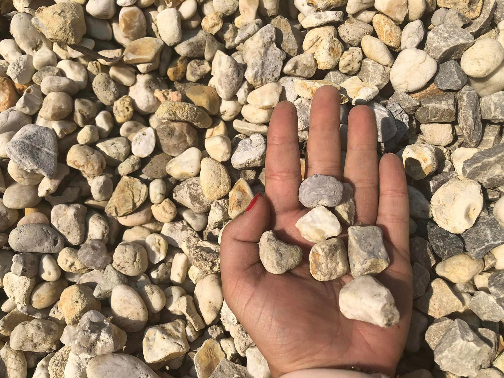 A hand holding a handful of small, light-colored stones against a backdrop of similar gravel.