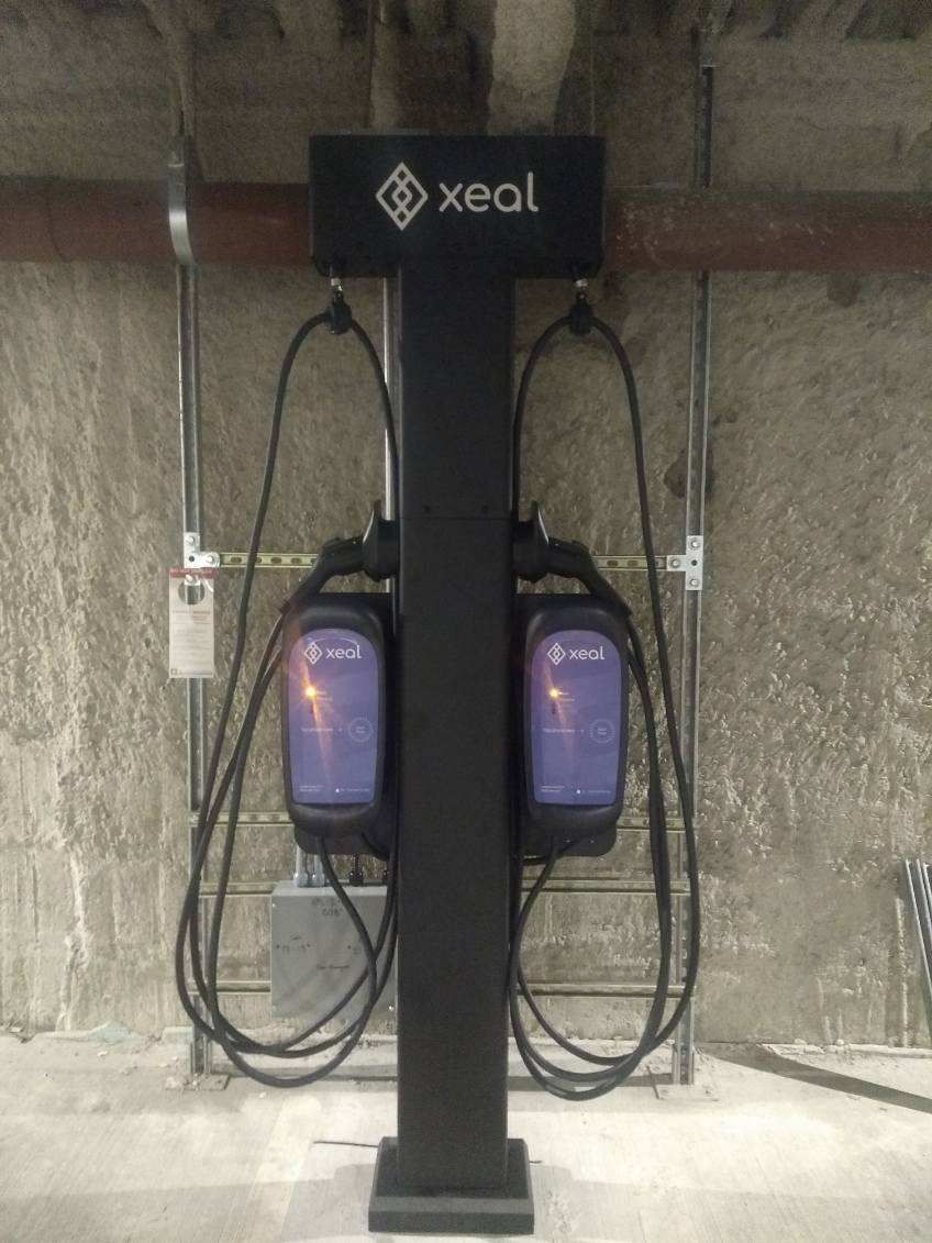 A black pole with two purple chargers attached to it.
