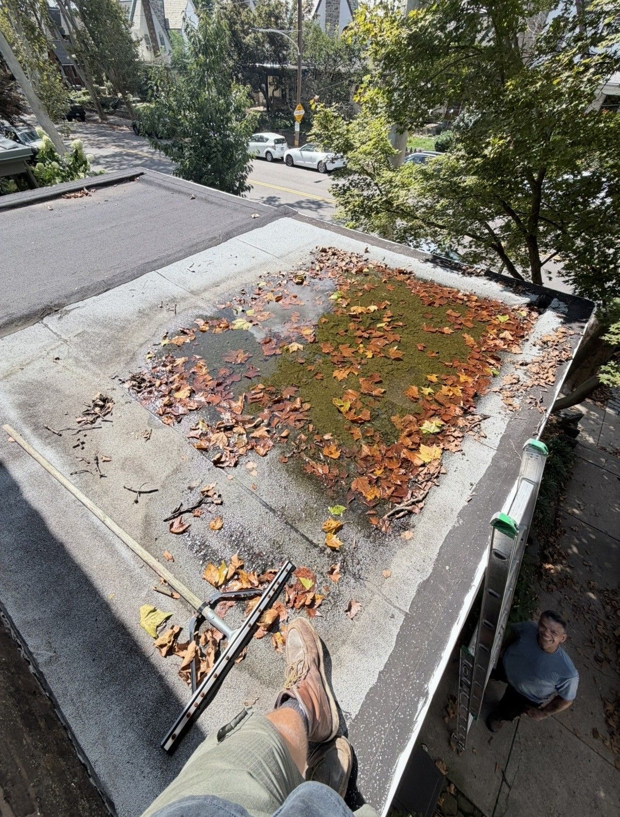 Person on a roof clearing leaves from a flat concrete section beside trees and a house.