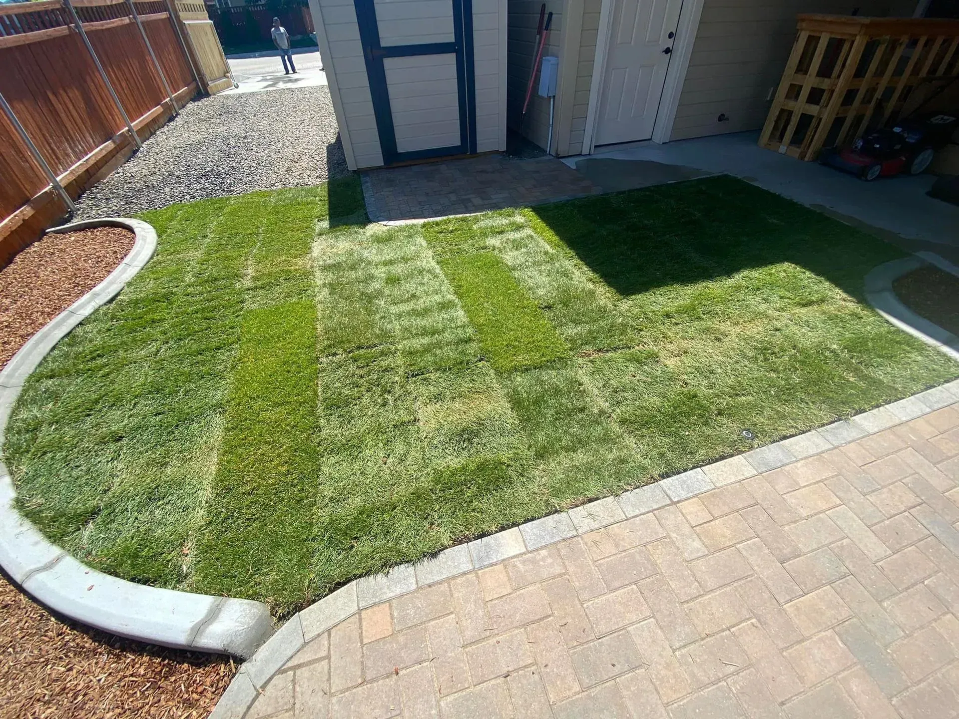 A backyard lawn with freshly laid sod strips, bordered by pavers, next to a paved patio and a wooden fence.