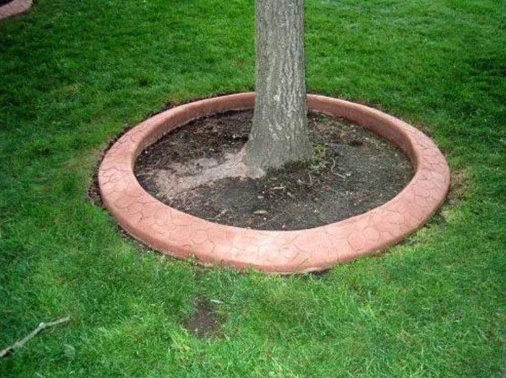 A terracotta-colored circular concrete landscape border surrounding the base of a tree in a grass lawn.