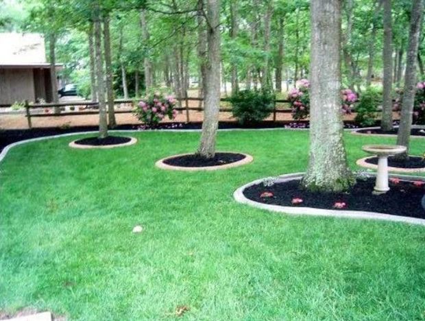 A residential lawn featuring mulched tree beds with curved concrete edging and a stone birdbath in a wooded backyard.