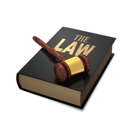 Gavel and Law book