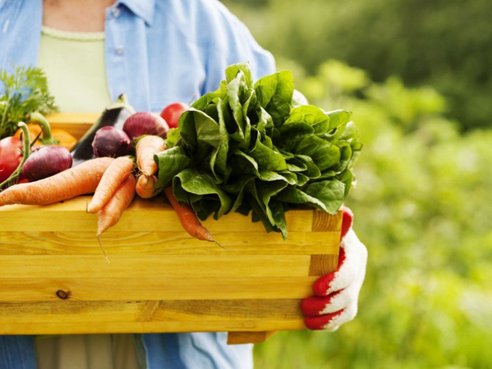 woman holding box with vegetables