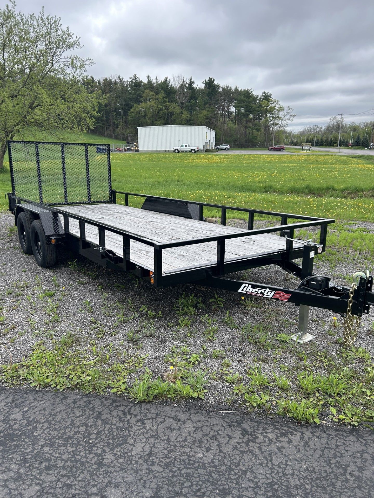 Black utility trailer on gravel, with a metal mesh front. Green grass and a cloudy sky in background.