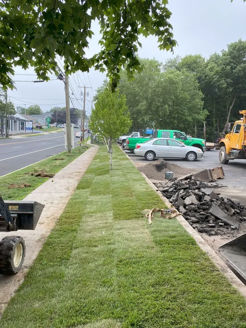 New sod laid along a sidewalk, with parked vehicles and construction debris visible.
