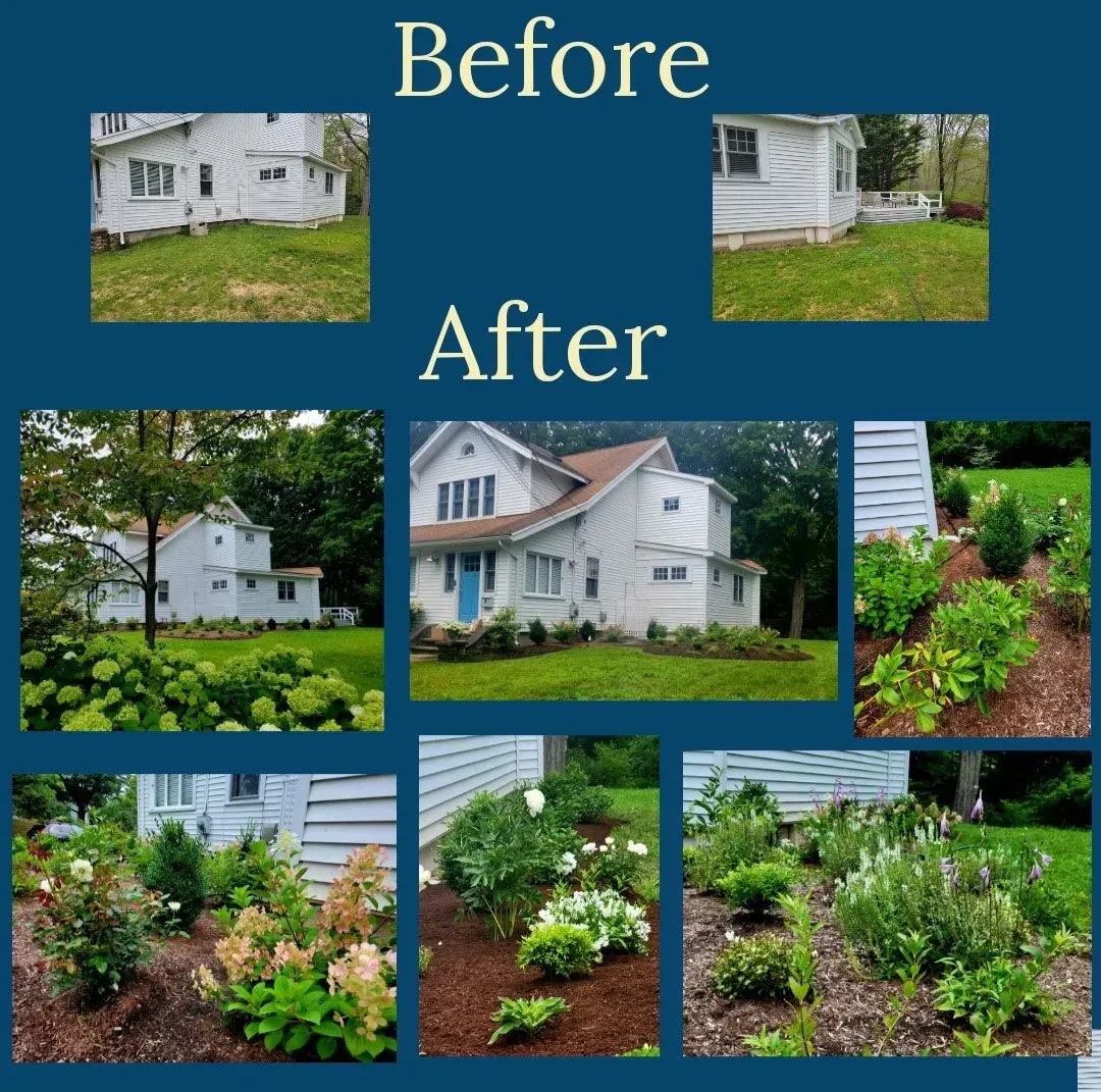 Before and after images of a house with overgrown grass transformed into a garden with colorful plants and mulch.