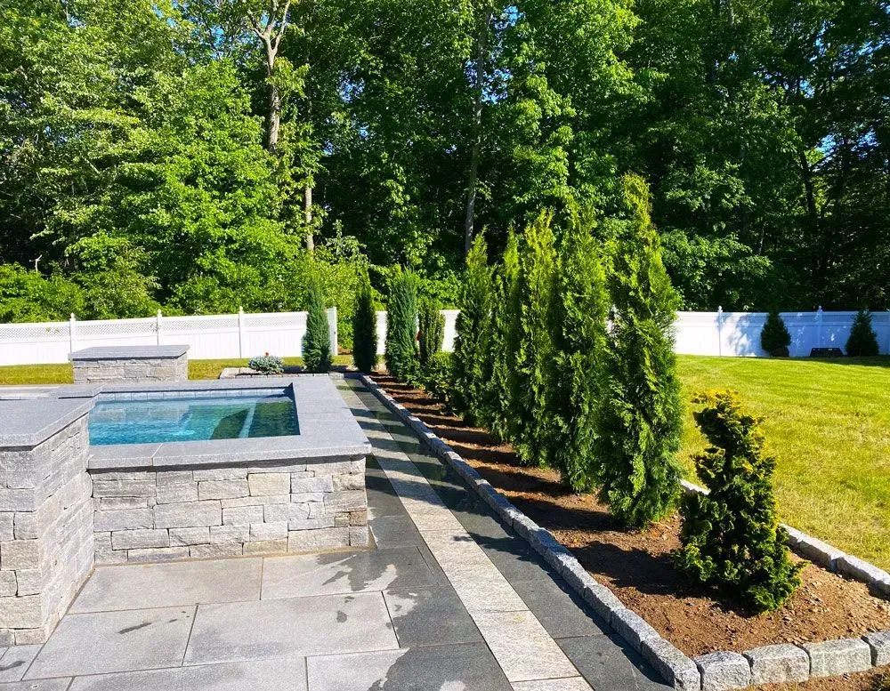 Backyard with stone patio, small pool, and line of green arborvitae trees along a path; white fence and trees in background.
