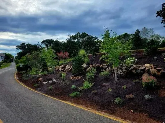 Roadside landscape with dark mulch, rocks, and various green plants against a cloudy sky.