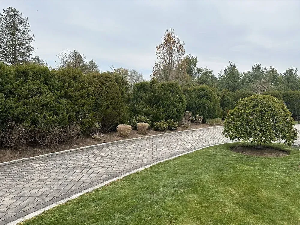 Brick pathway bordered by green grass and evergreen shrubs under a cloudy sky.