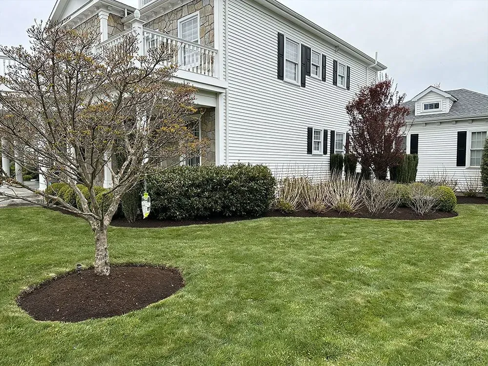 House with green lawn, trees, and landscaped bushes. Mulched beds border the house.