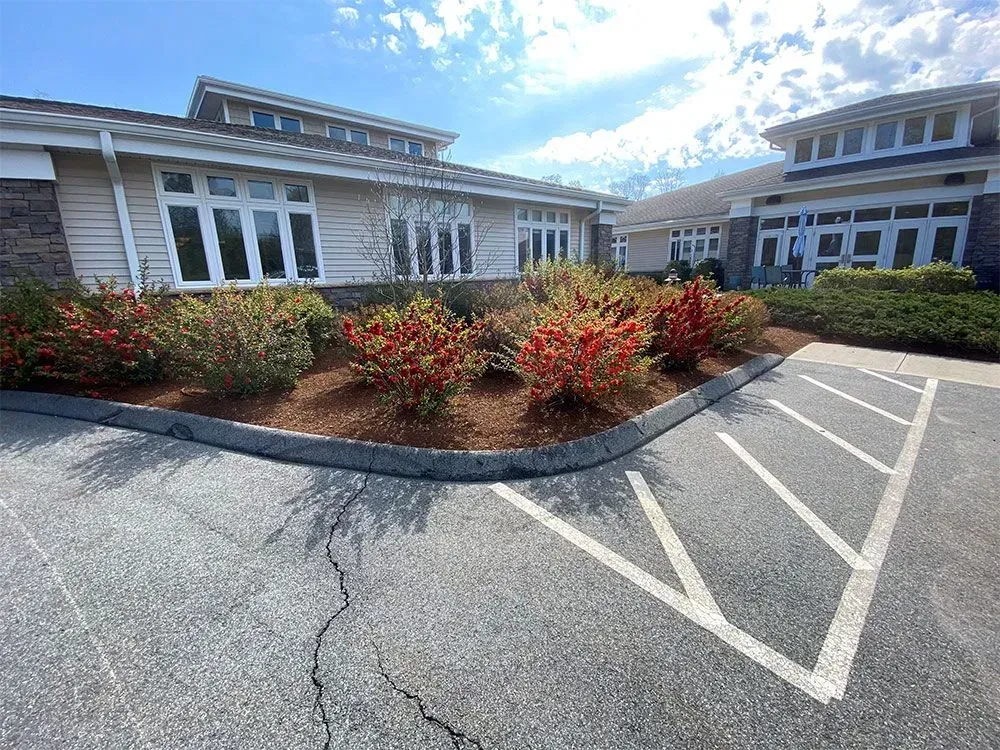 Building with landscaping and a parking area with marked spaces under a blue sky.