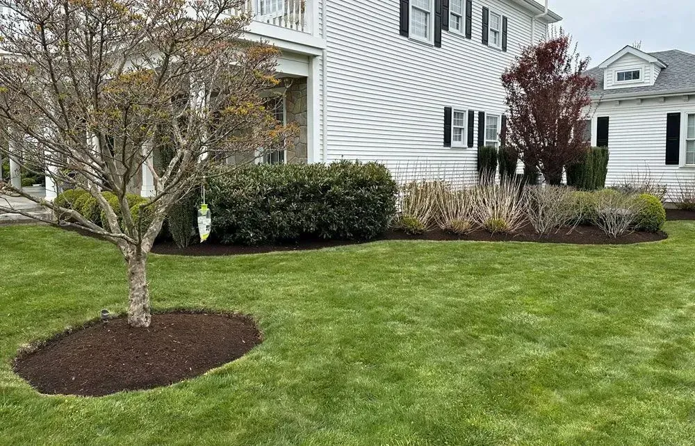 A well-manicured lawn with a house in the background and a tree in the front.