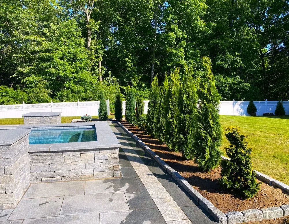 Backyard with stone patio, small pool, and line of green arborvitae trees.