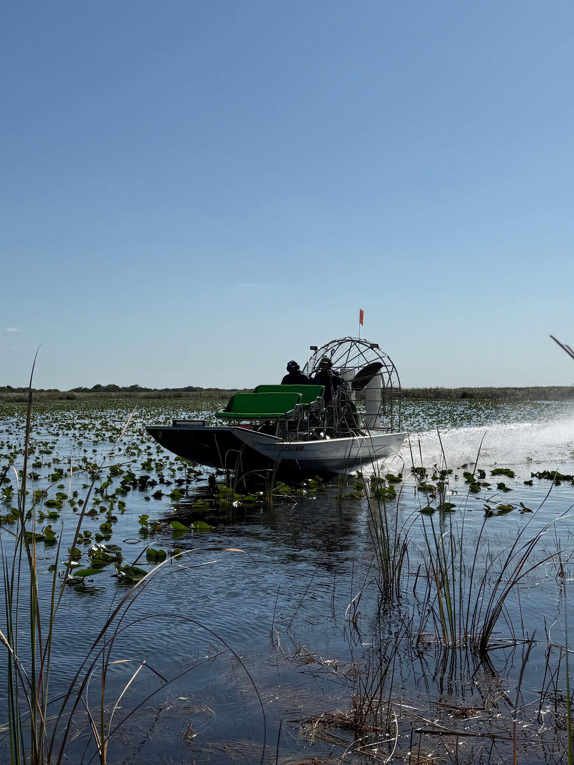 A boat is driving through a swamp on a sunny day.