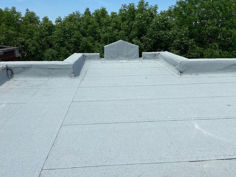 Flat gray roof with a small central structure, against a backdrop of green trees under a blue sky.
