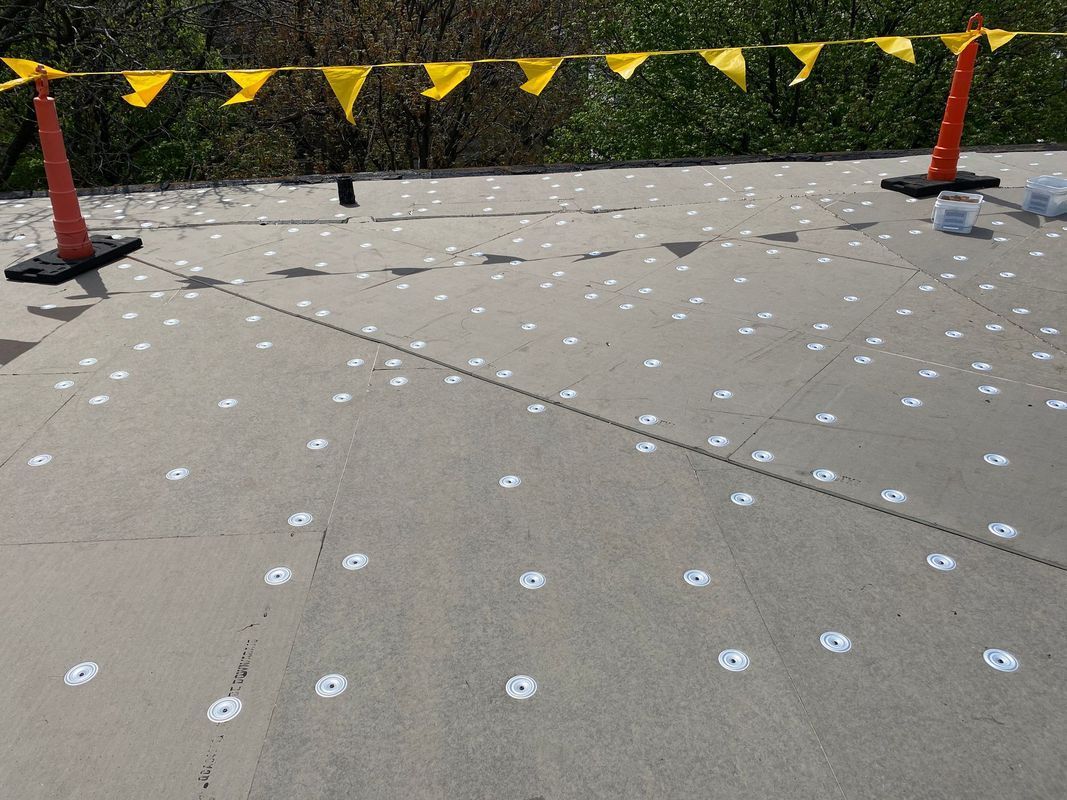 Concrete path with scattered white circles, roped off with orange cones and yellow flags.