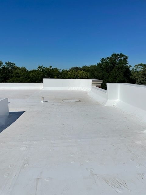 White, flat commercial roof with parapet walls, a clear blue sky, and green trees.