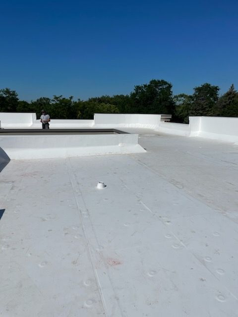 White flat roof with a person standing, trees, and blue sky.