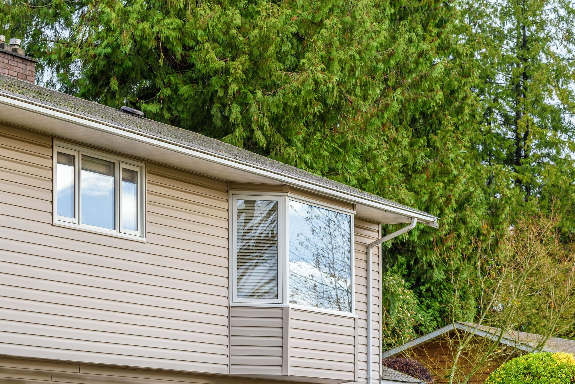 Image placeholder with 