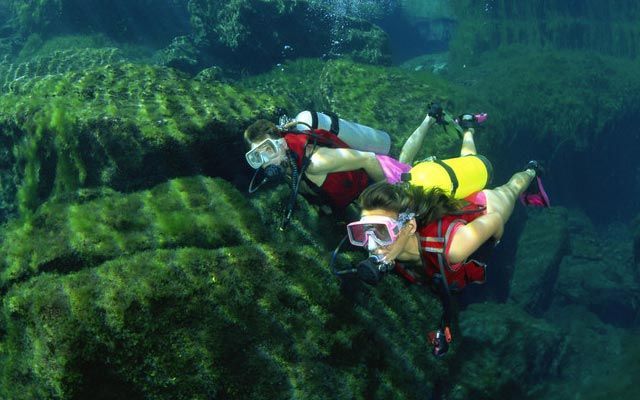 Two people are scuba diving in a body of water.