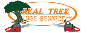 Real Tree Tree Service - Logo