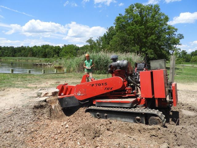 Stump Removal Service - Pinellas County - Stump Grinding Company - Happy's Tree  Service, LLC