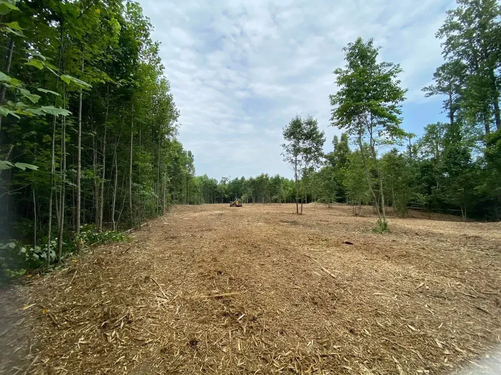 Cleared dirt path through a wooded area, with trees on both sides under a cloudy sky