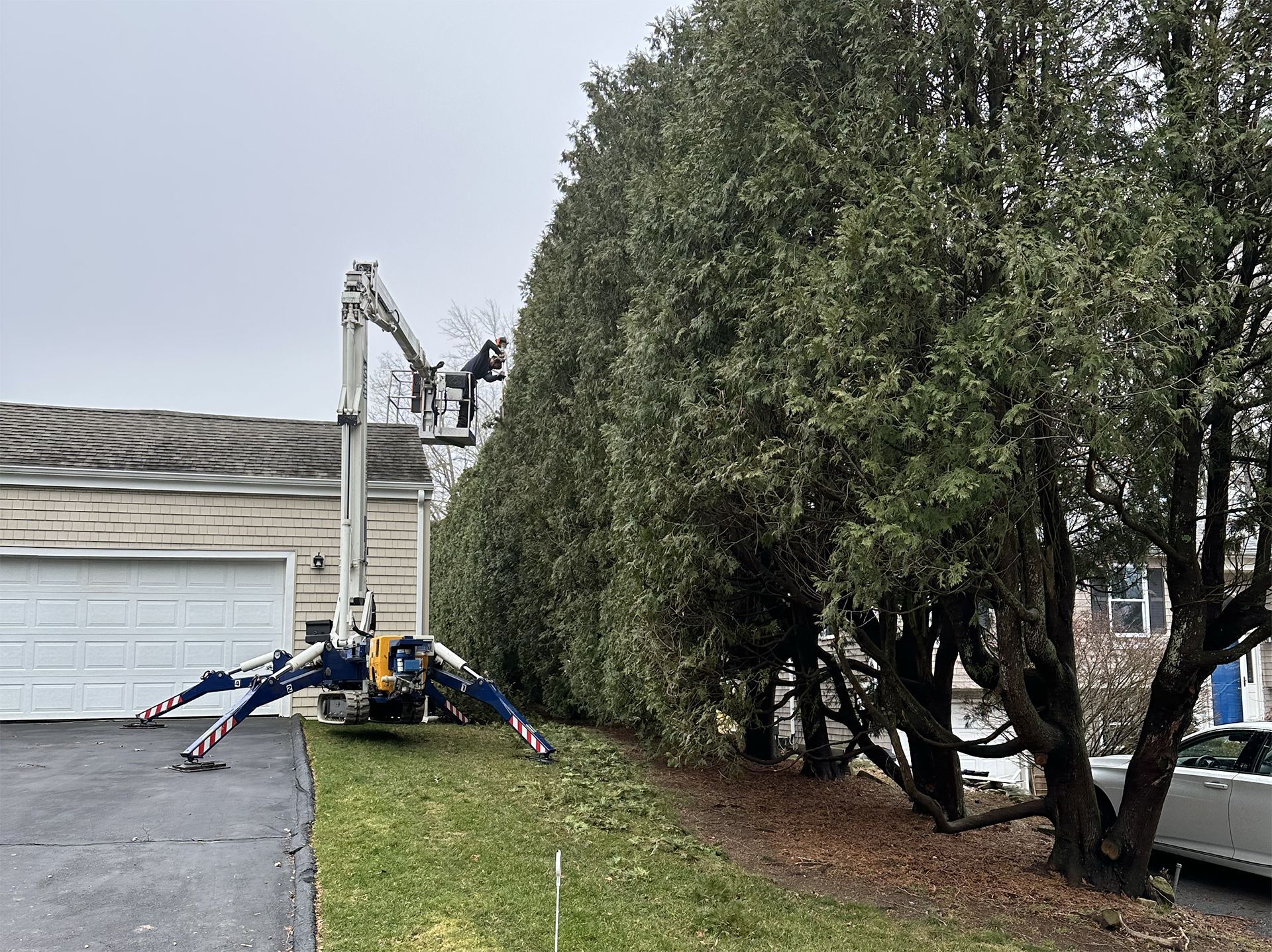 Tree Pruning