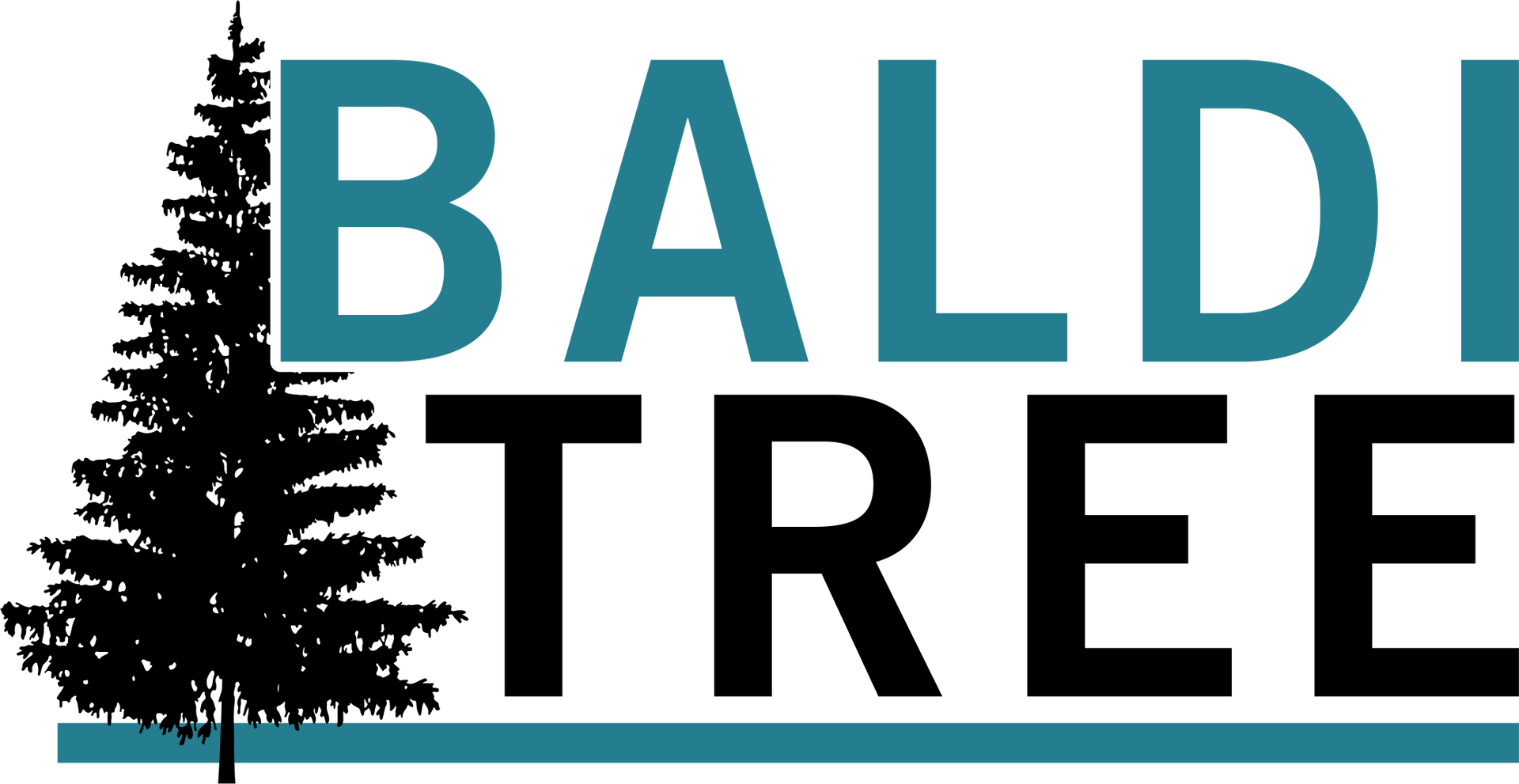 Baldi Tree logo