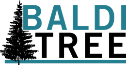 Baldi Tree logo