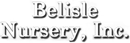Belisle Nursery-logo