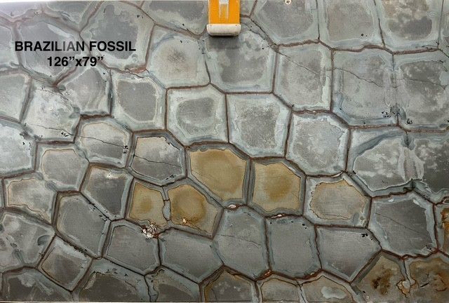 Brazilian Fossil stone slab with hexagonal pattern in gray and tan.